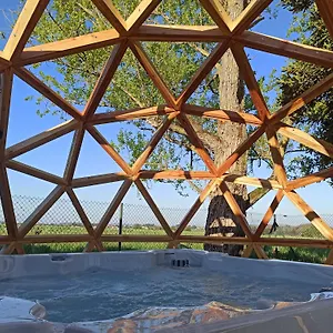 De Charme Et Pres D'albi , Au Mas De Bel Air Hébergement de vacances Arthes